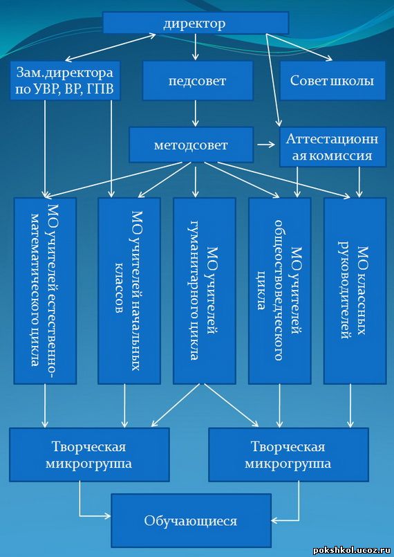 организационная структура